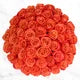 50-stem Orange Roses