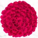 50-stem Hot Pink Roses