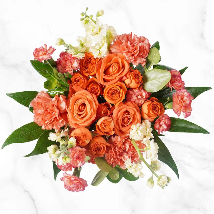 Mountain Bouquet Event Collection, 10-count