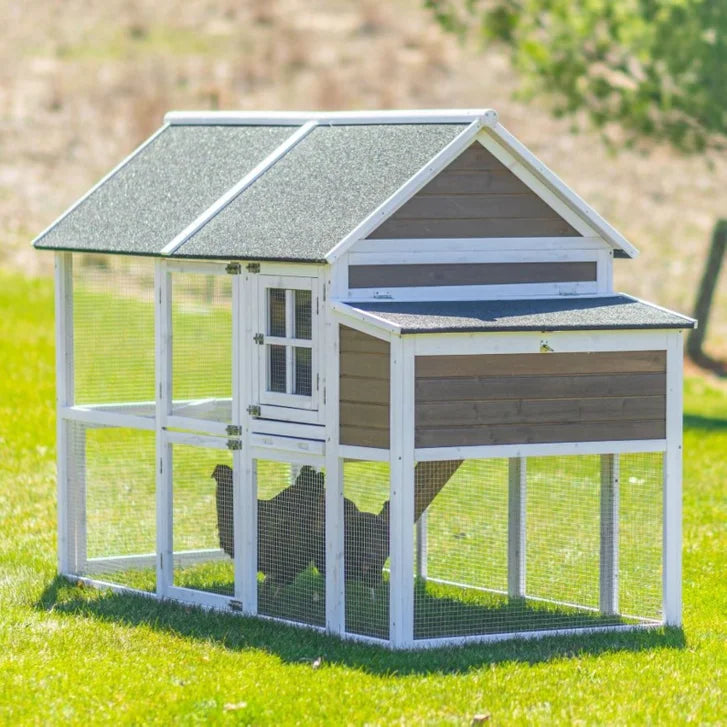 Zylina Superior Hen House