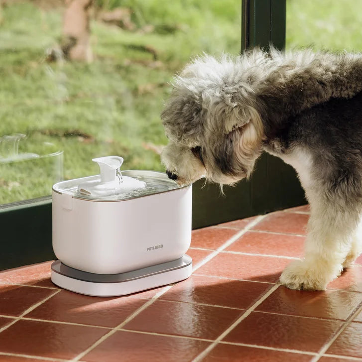Petlibro Cordless Pet Water Fountain