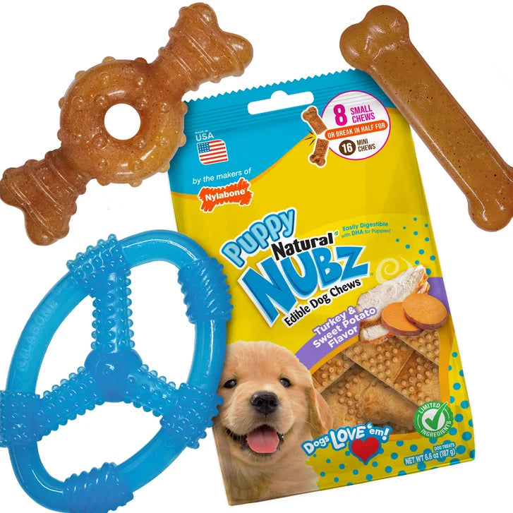 Nylabone Puppy Chew Toys and Small NUBZ Gift Box, 4-count