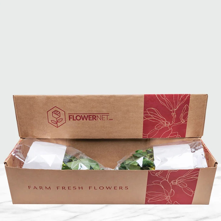 Red and White Roses Fresh Cut Floral, 50-stems