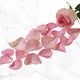 Rose Petals