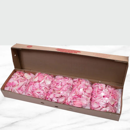 Rose Petals