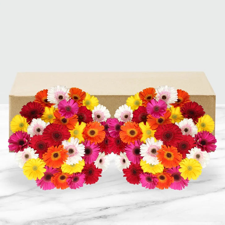 60-stem Gerberas
