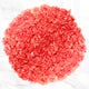 100-stem Carnations