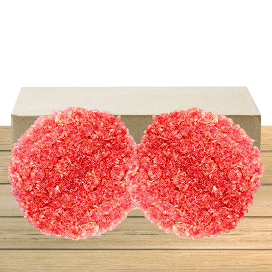 100-stem Carnations