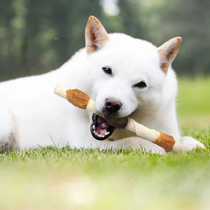 Cadet Triple Flavored X-Large Shish Kabob Dog Treats, 10-count, 2-pack