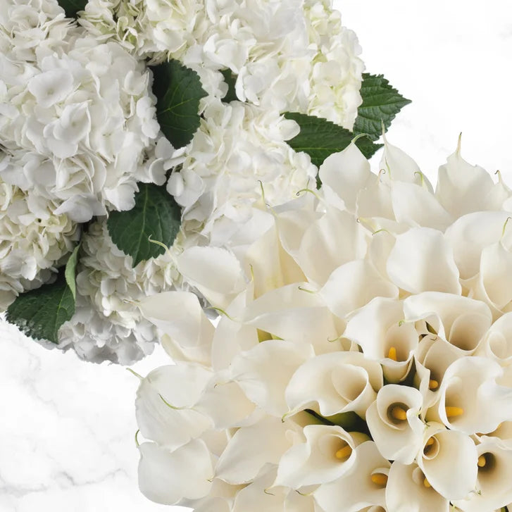 40-stem Calla Lilies and 20-stem Hydrangea