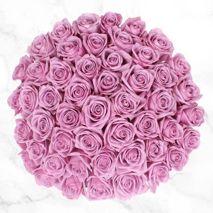50-stem Lavender Roses