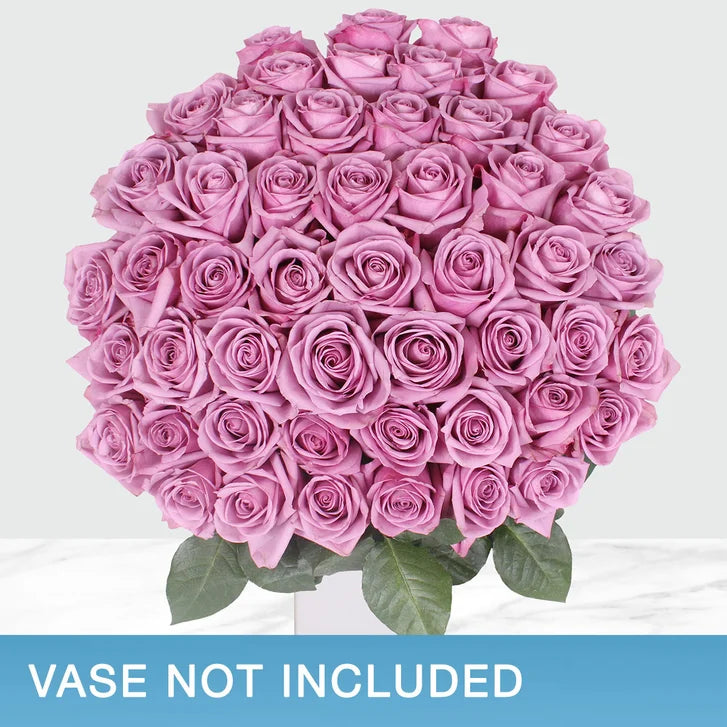 50-stem Lavender Roses
