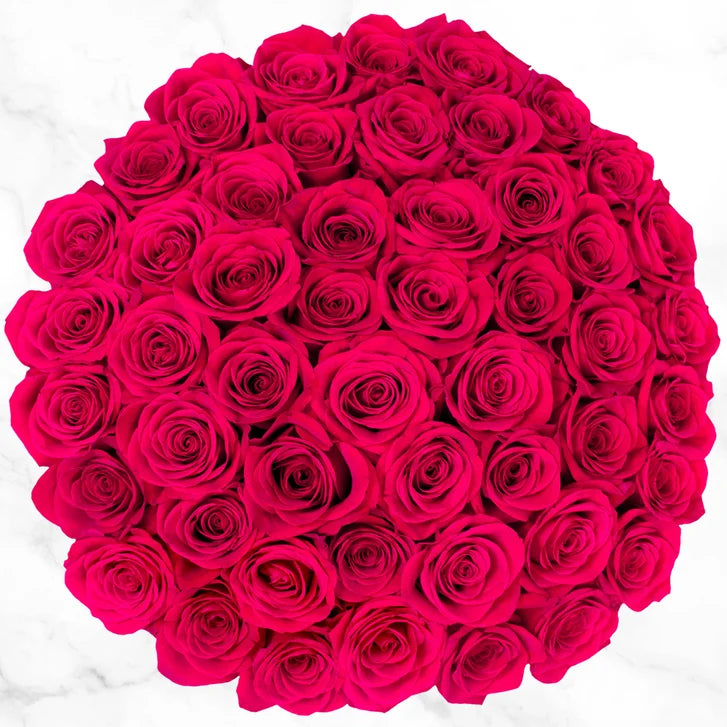 50-stem Hot Pink Roses
