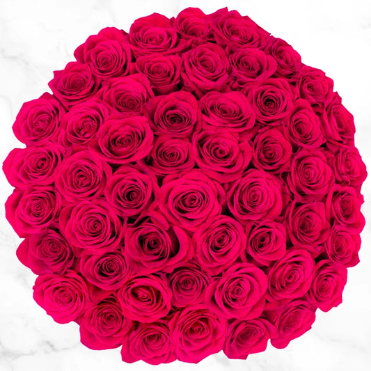 50-stem Hot Pink Roses