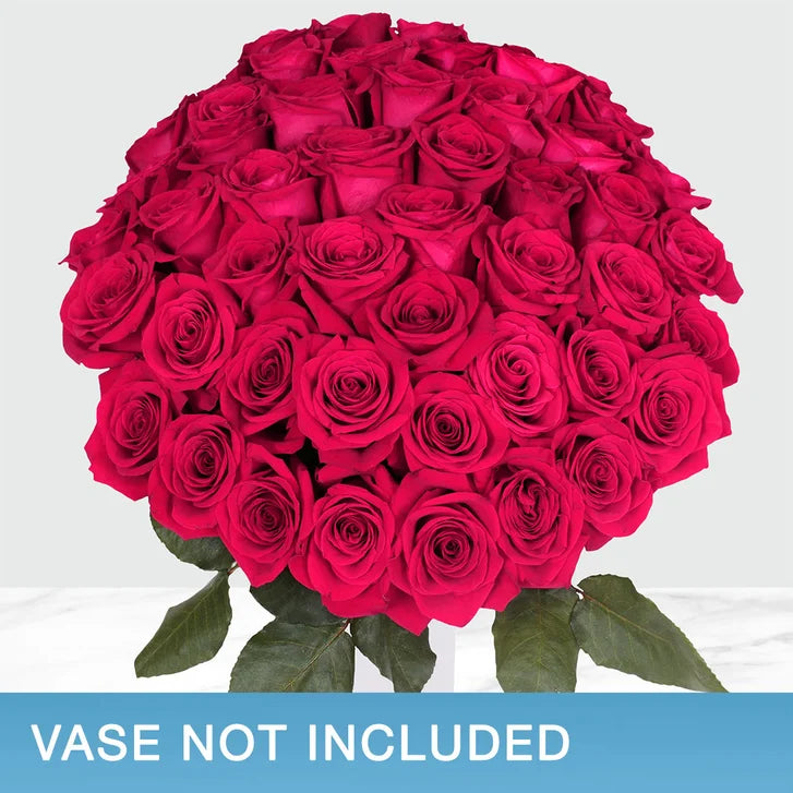 50-stem Hot Pink Roses