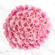 50-stem Light Pink Roses