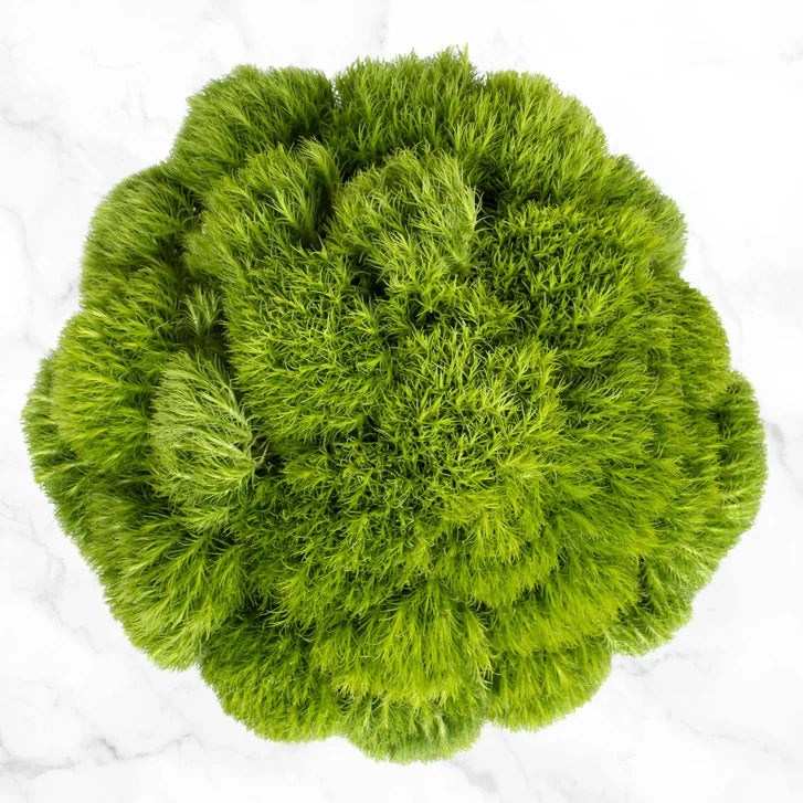 100-stem White and Green Fillers