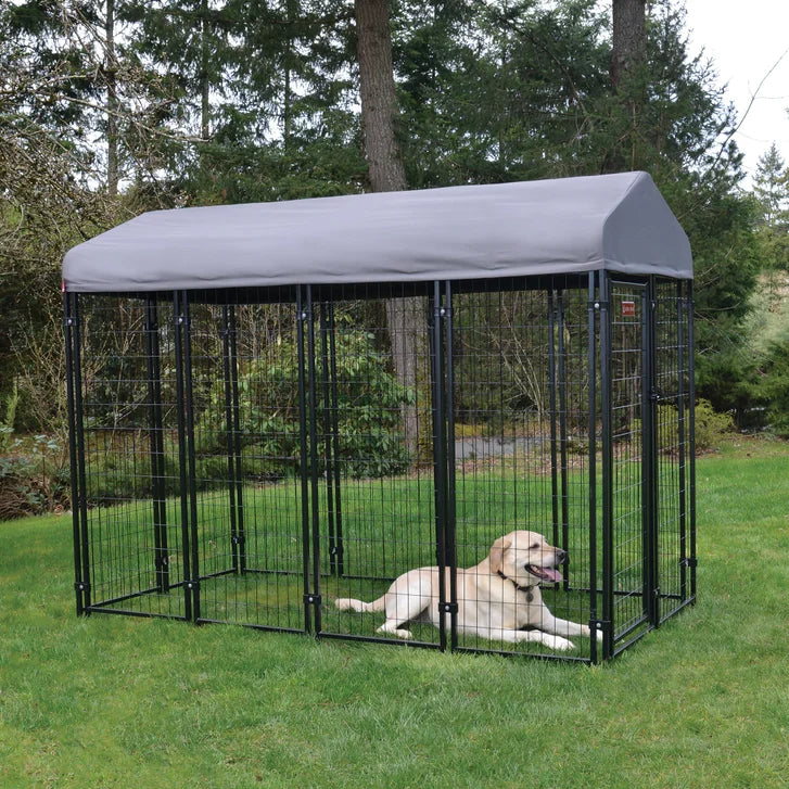Lucky Dog STAY Series Villa Dog Kennel 4'x8' with Privacy Screen