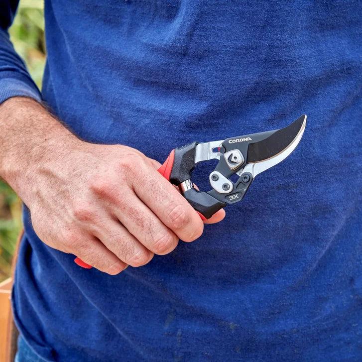 Corona Trimming and Pruning Set