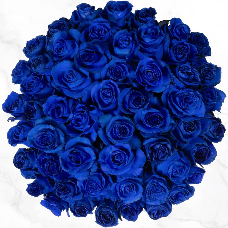50-stem Blue Roses