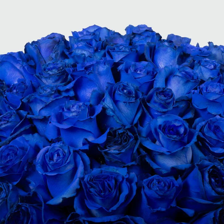 50-stem Blue Roses