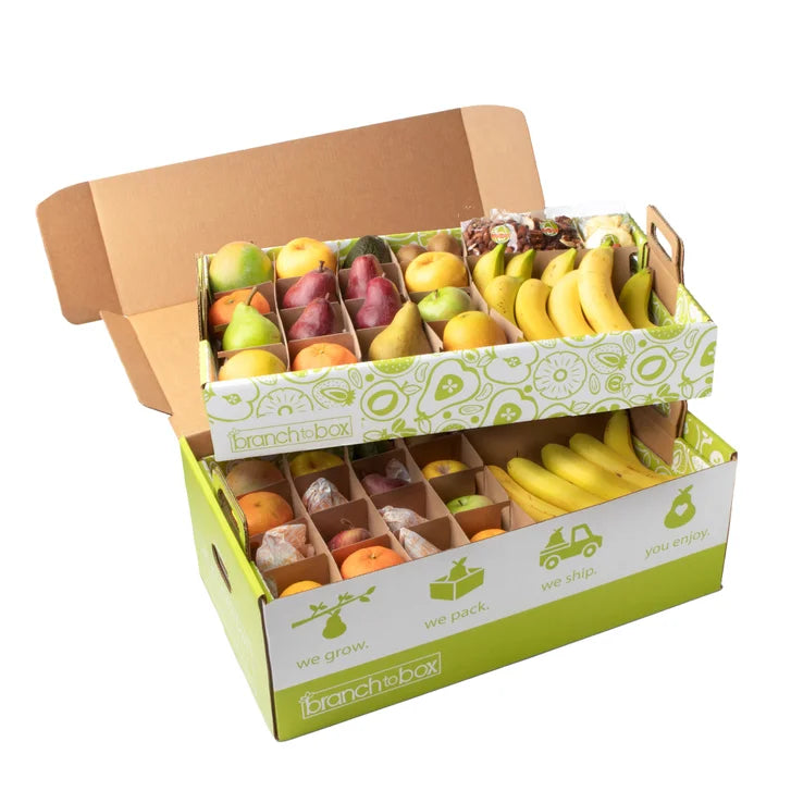 Branch to Box Jumbo Fruit and Snackette Box
