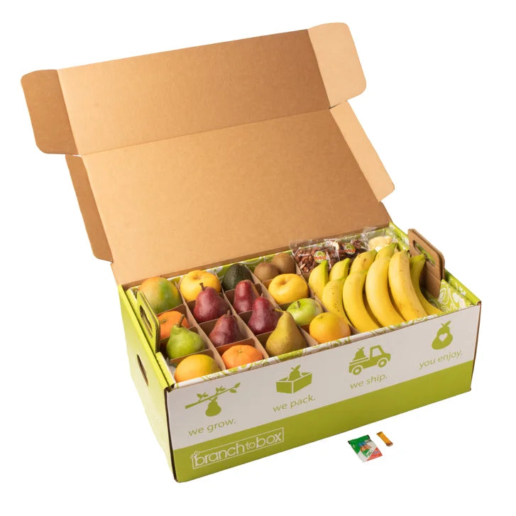 Branch to Box Jumbo Fruit and Snackette Box