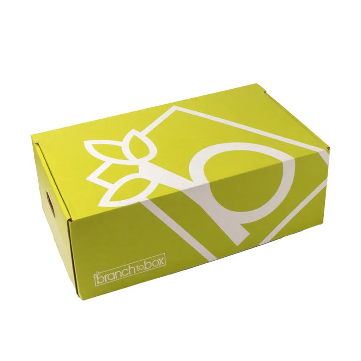 Branch to Box Jumbo Fruit and Snackette Box