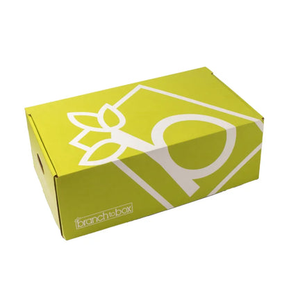 Branch to Box Jumbo Fruit and Snackette Box