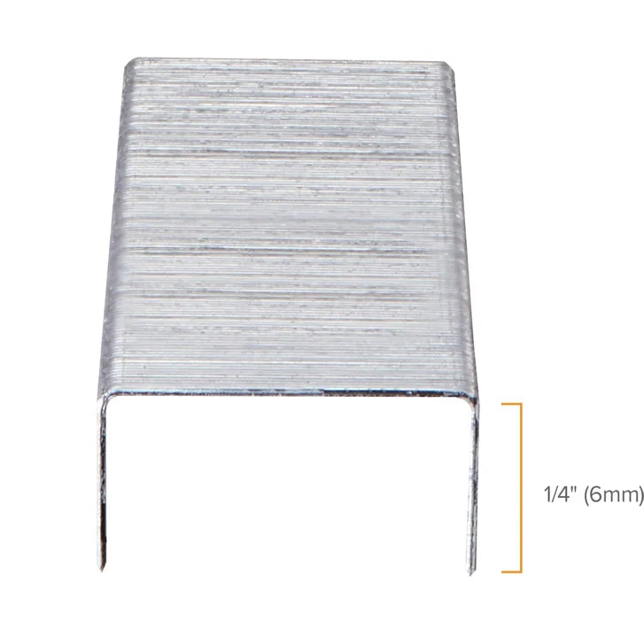 Bostitch 1/4" Premium Staples, Standard Chisel Point, 5,000 Staples, 5-count