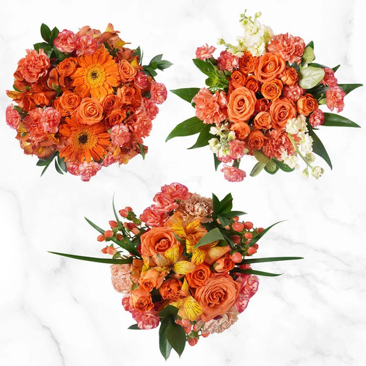 Mountain Bouquet Event Collection, 10-count