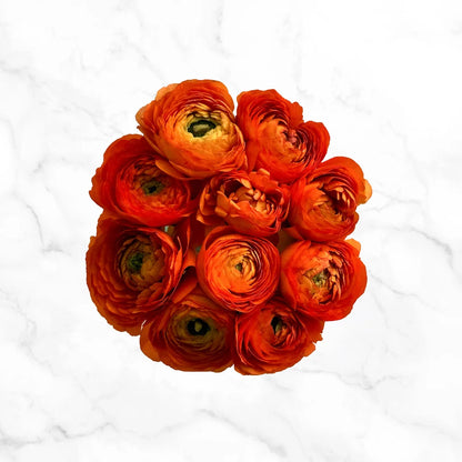 120-stem Ranunculus