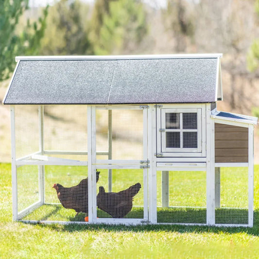Zylina Superior Hen House