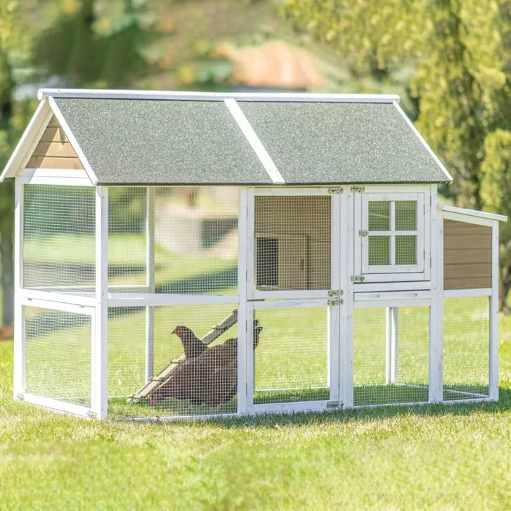 Zylina Superior Hen House