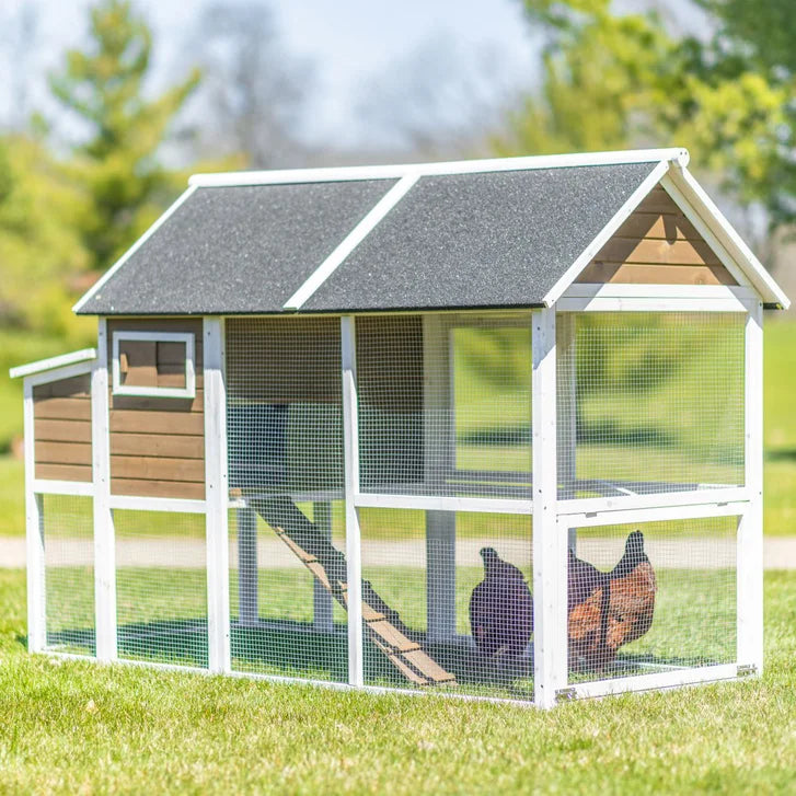 Zylina Superior Hen House