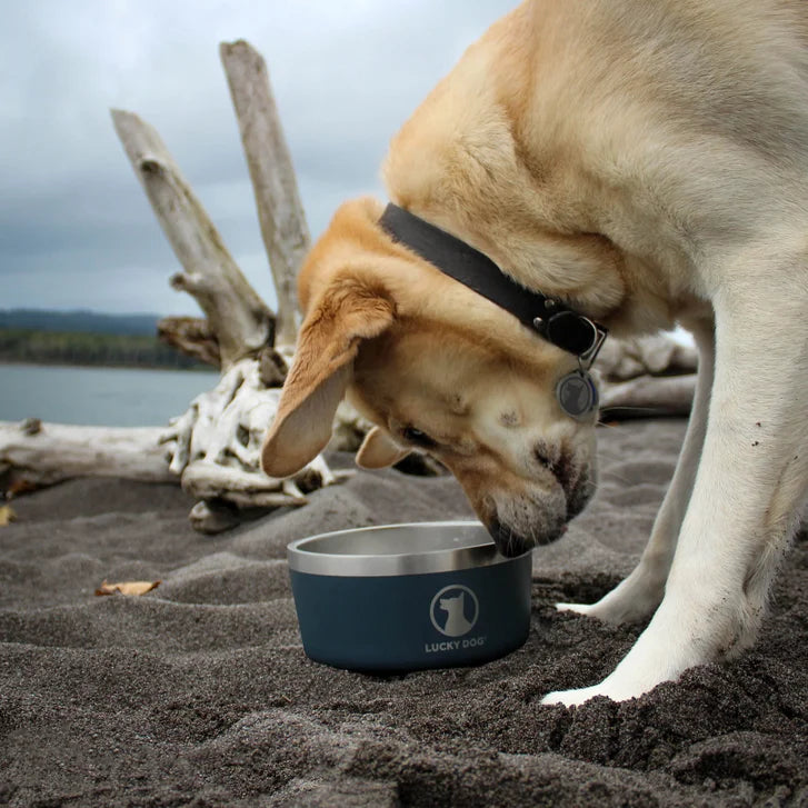 Lucky Dog Indulge 5, Double Wall 5 Cup Stainless Steel Dog Bowl, 2-pack