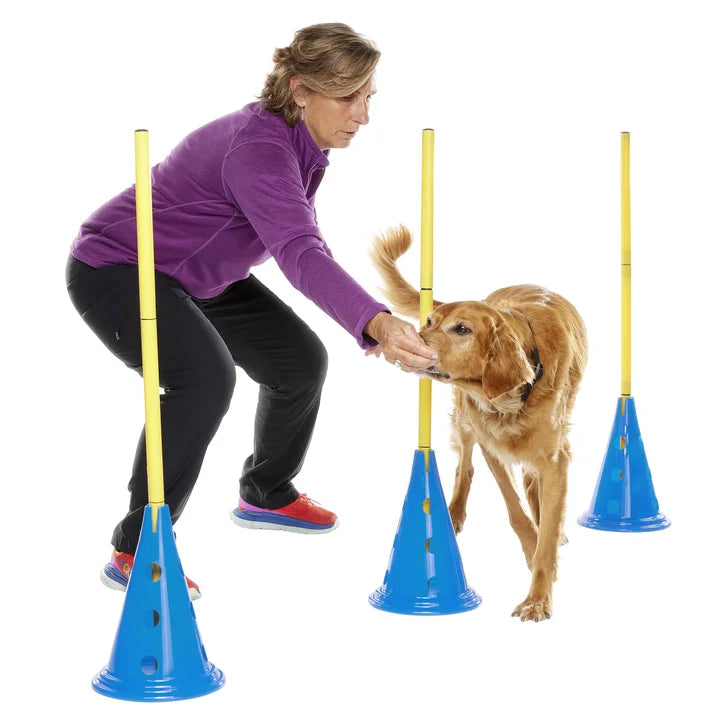 FitPaws CanineGym Dog Agility Kit Bundle, Cavaletti 6-count