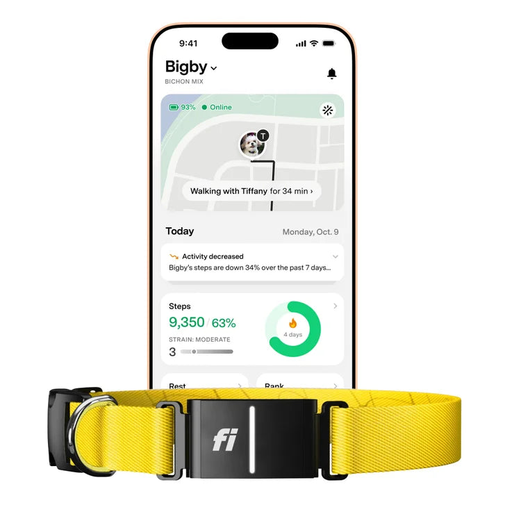 Fi Series 3+ Smart Dog Collar - GPS Tracker and Activity & Health Monitor, 14-Month Membership