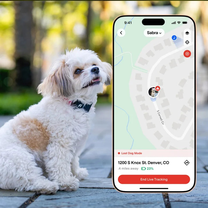 Fi Series 3+ Smart Dog Collar - GPS Tracker and Activity & Health Monitor, 14-Month Membership