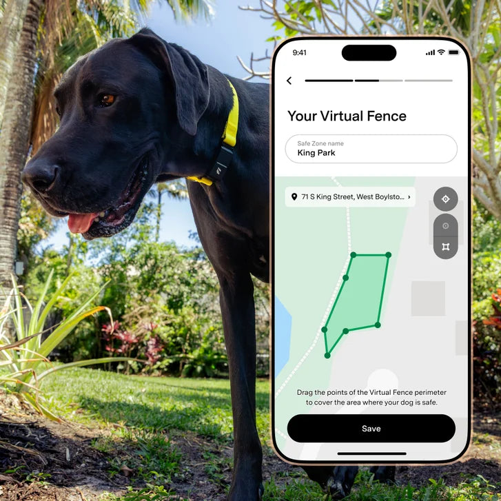 Fi Series 3+ Smart Dog Collar - GPS Tracker and Activity & Health Monitor, 14-Month Membership