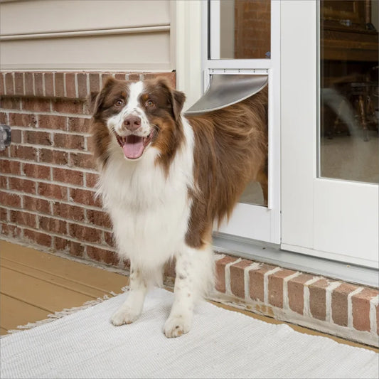 PetSafe Sliding Glass Pet Door, 2-Piece, Large