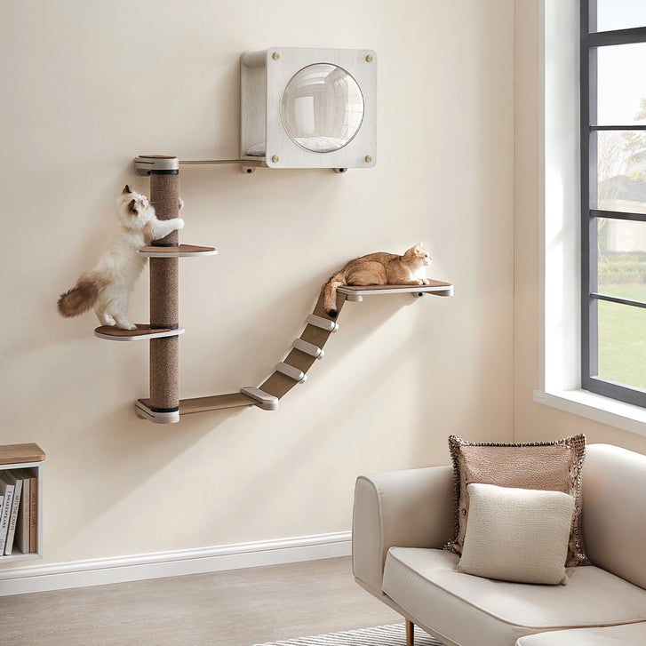 Clickat Nest & Play Modular Habitat