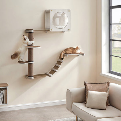 Clickat Nest & Play Modular Habitat