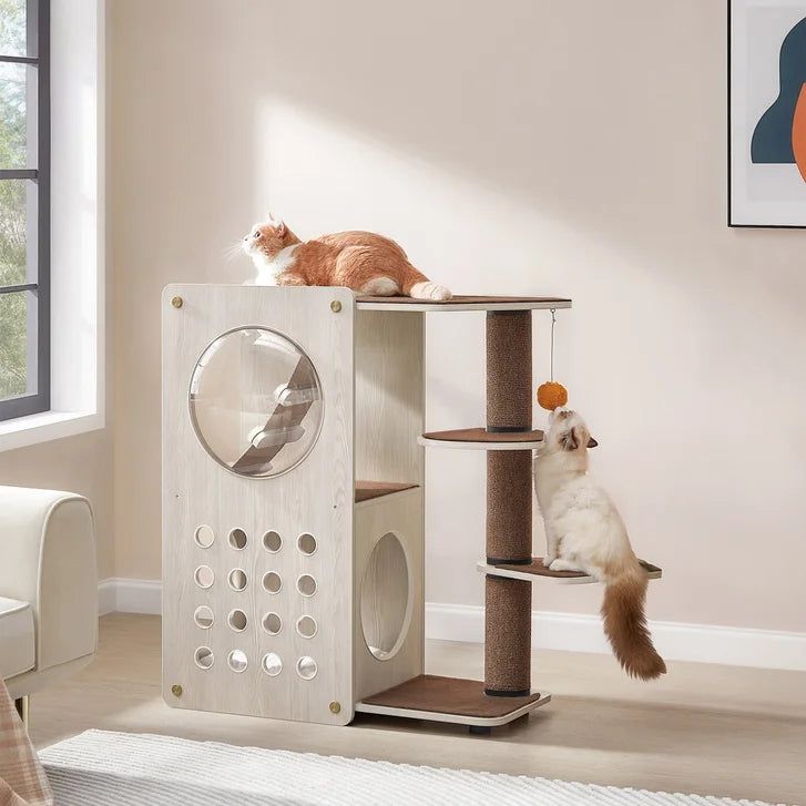 Clickat Nest & Play Modular Habitat