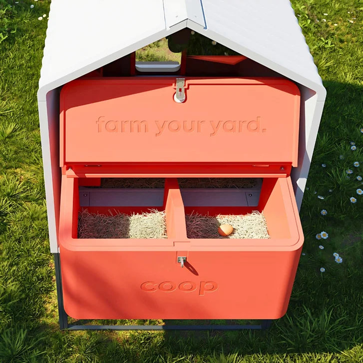 Smart Coop Unlimited+, App-Controlled AI, Chicken Coop Kit