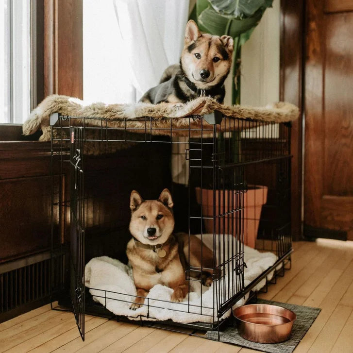 Lucky Dog DWELL Series Crate, Black Finish