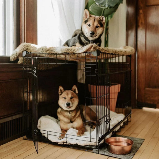 Lucky Dog DWELL Series Crate, Black Finish