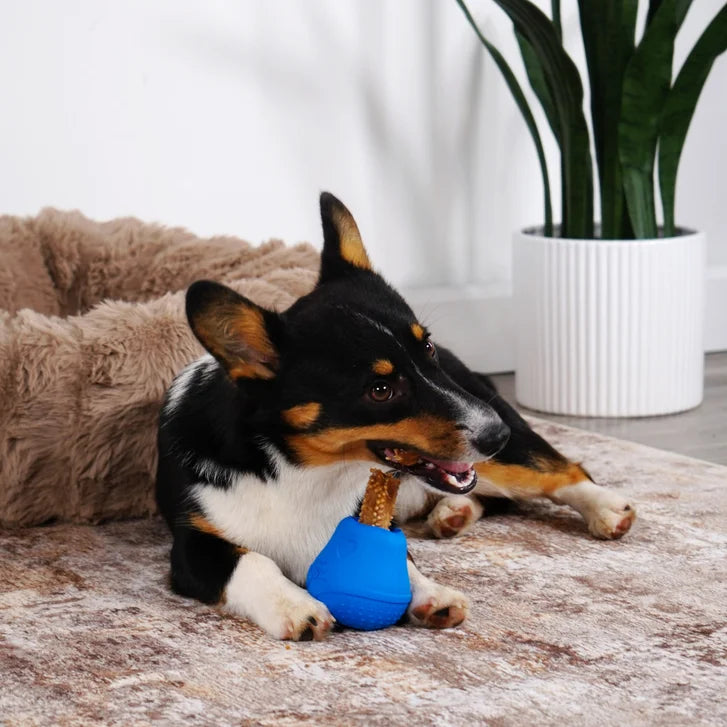 Nylabone NUBZ Treat N' Chew Dog Toy Variety Pack, 3-count