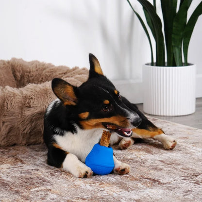 Nylabone NUBZ Treat N' Chew Dog Toy Variety Pack, 3-count
