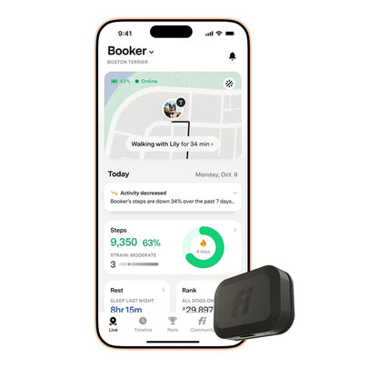 Fi Mini GPS Tracker Activity & Health Monitor, Includes 1-Year Membership